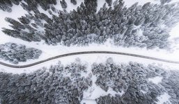 Bird eye’s view!, by Kimon Maritz